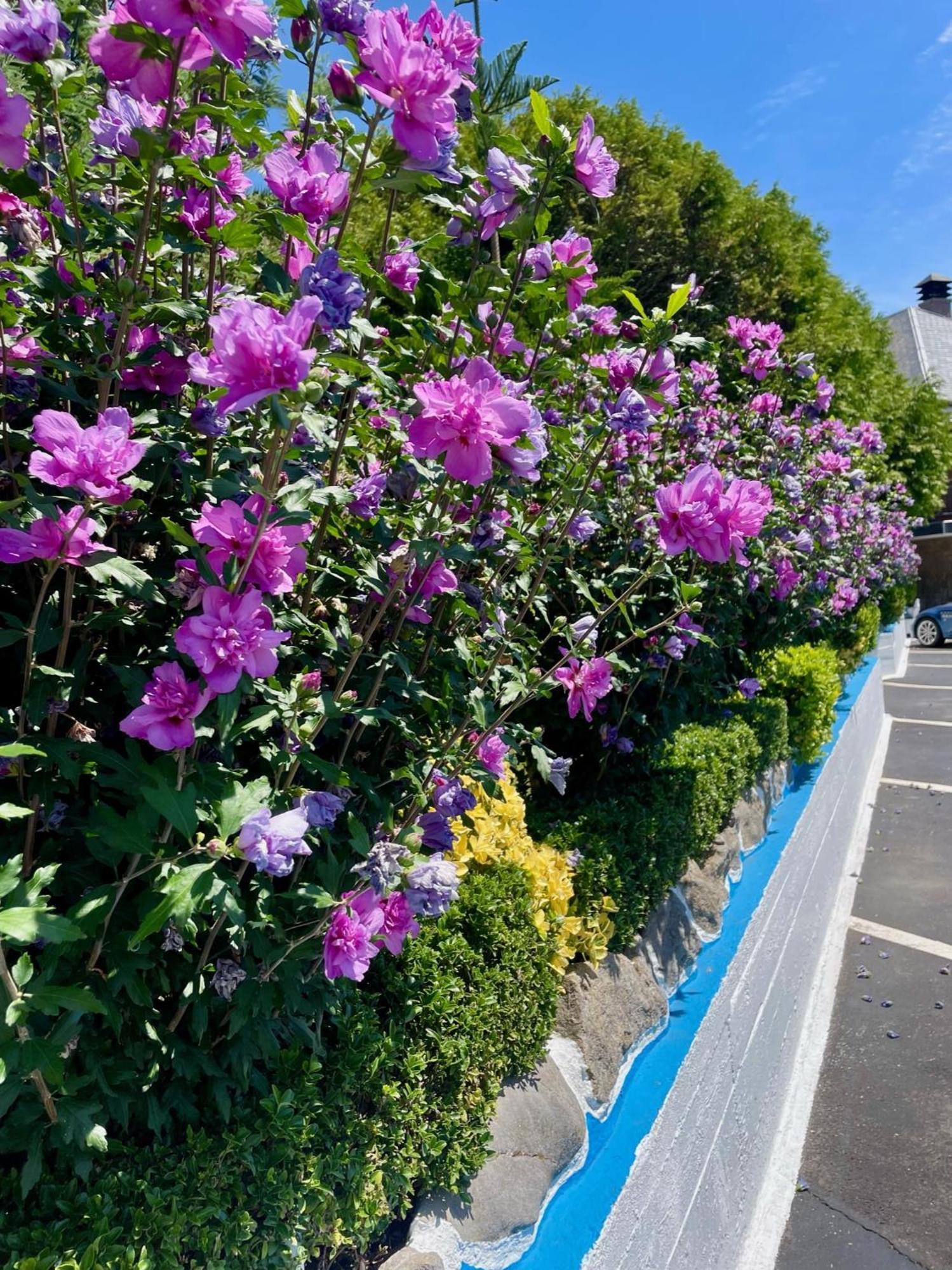 El Jardin Hotel Сото де ла Марина Екстериор снимка