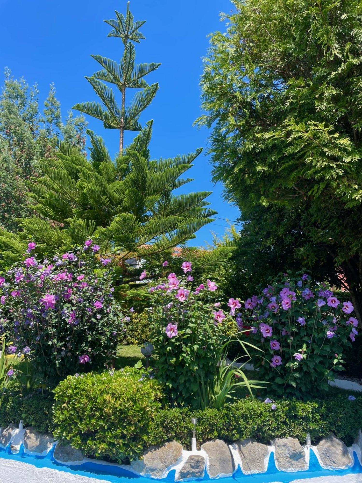 El Jardin Hotel Сото де ла Марина Екстериор снимка